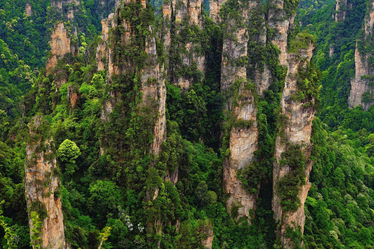 Zhangjiajie: Avatar Forest Park Group Tour or Ticket Big Group Tour with English Guide & Entry Ticket (11-16 ppl)
