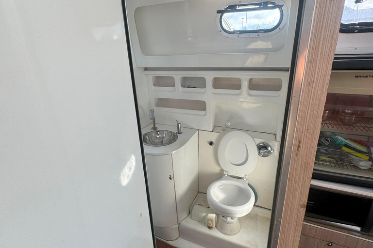 Private speedboat tour in Rio de Janeiro 4 hour Private speedboat tour in Rio de Janeiro