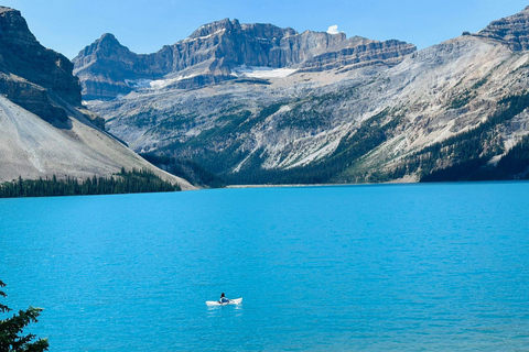 Calgary: Columbia Icefield & Skywalk, Peyto, Bow & Glaciers