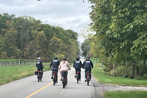 Niagara Benchlands: Ebike Tour with Wine Tastings
