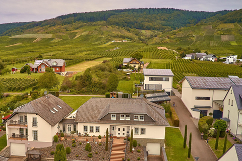 Kröv/Gut Hermes: Wine tour & tasting through the vineyard, winery, & sparkling wine factory Kröv/Gut Hermes: Wine Tour & Tasting Through Vineyard, Winery & Champagne Factory