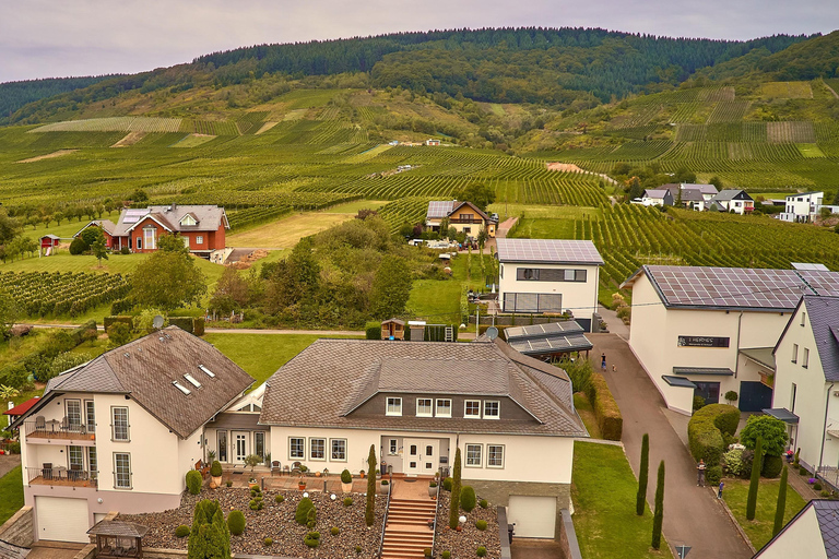 Kröv/Gut Hermes: Wine tour & tasting through the vineyard, winery, & sparkling wine factory Kröv/Gut Hermes: Wine Tour & Tasting Through Vineyard, Winery & Champagne Factory