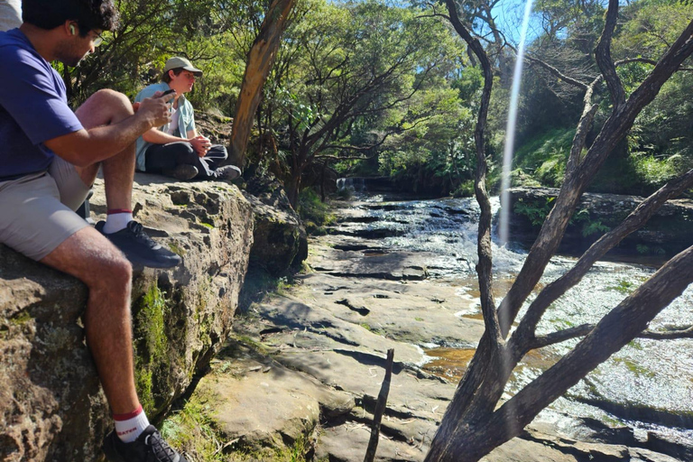 Sydney: Blue Mountains Guided Hike with Lunch & Pickup