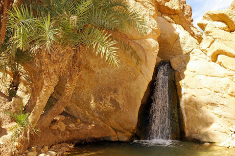 Le Grand Tour de Tunisie : immersion locale entre mer et désert