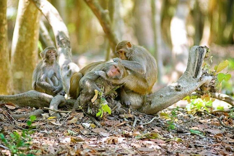 Monkey Island + Can Gio Mangrove Forest - Shared Tour Mangrove Forest