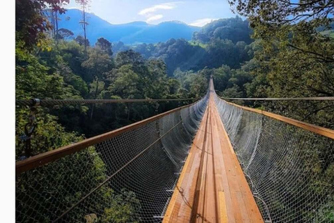 Jakarta : 2-Day Bandung Tour with Airport Pickup