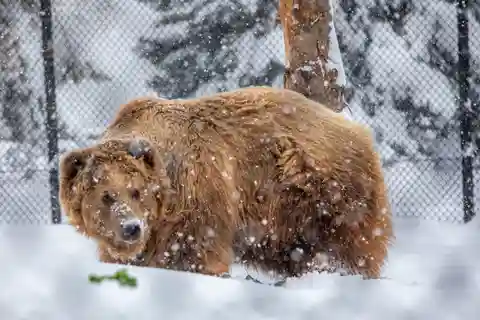 Great Plains Zoo