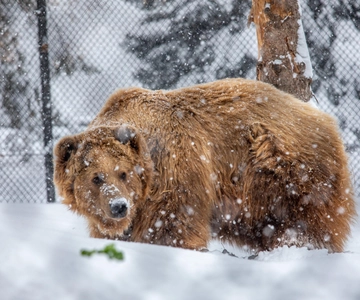 Great Plains Zoo