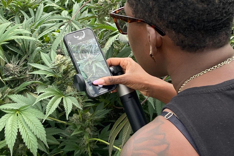 Private Medellín Cannabis Culture Tour with Lunch & Tasting