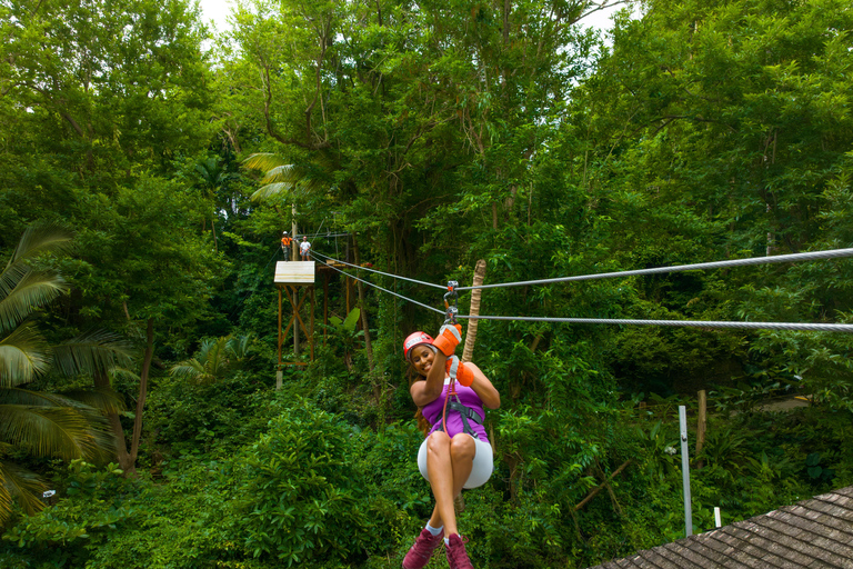 Barbados: Signature Park Pass &amp; Monkey Zip Experience