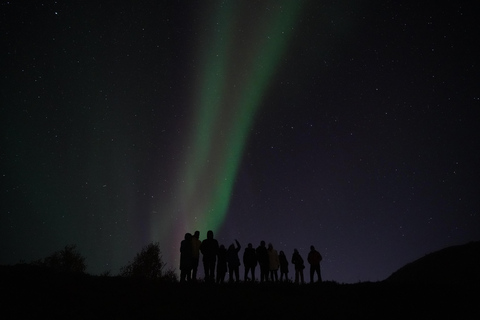 Tromsø: Northern Lights Tour – Unlimited Chase & Free Photos 6-8 Hours, Aurora chase, Comfortable bus, Photos included