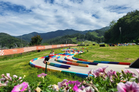Luge Racing, Alpaca World and Peach Picking tour from Seoul Group tour from Dongdaemun