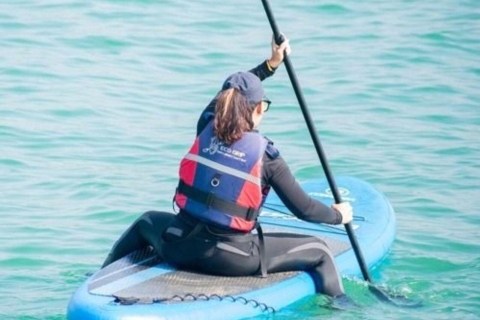 Ocean Paddle Boarding in Galle Ocean Paddling in Galle