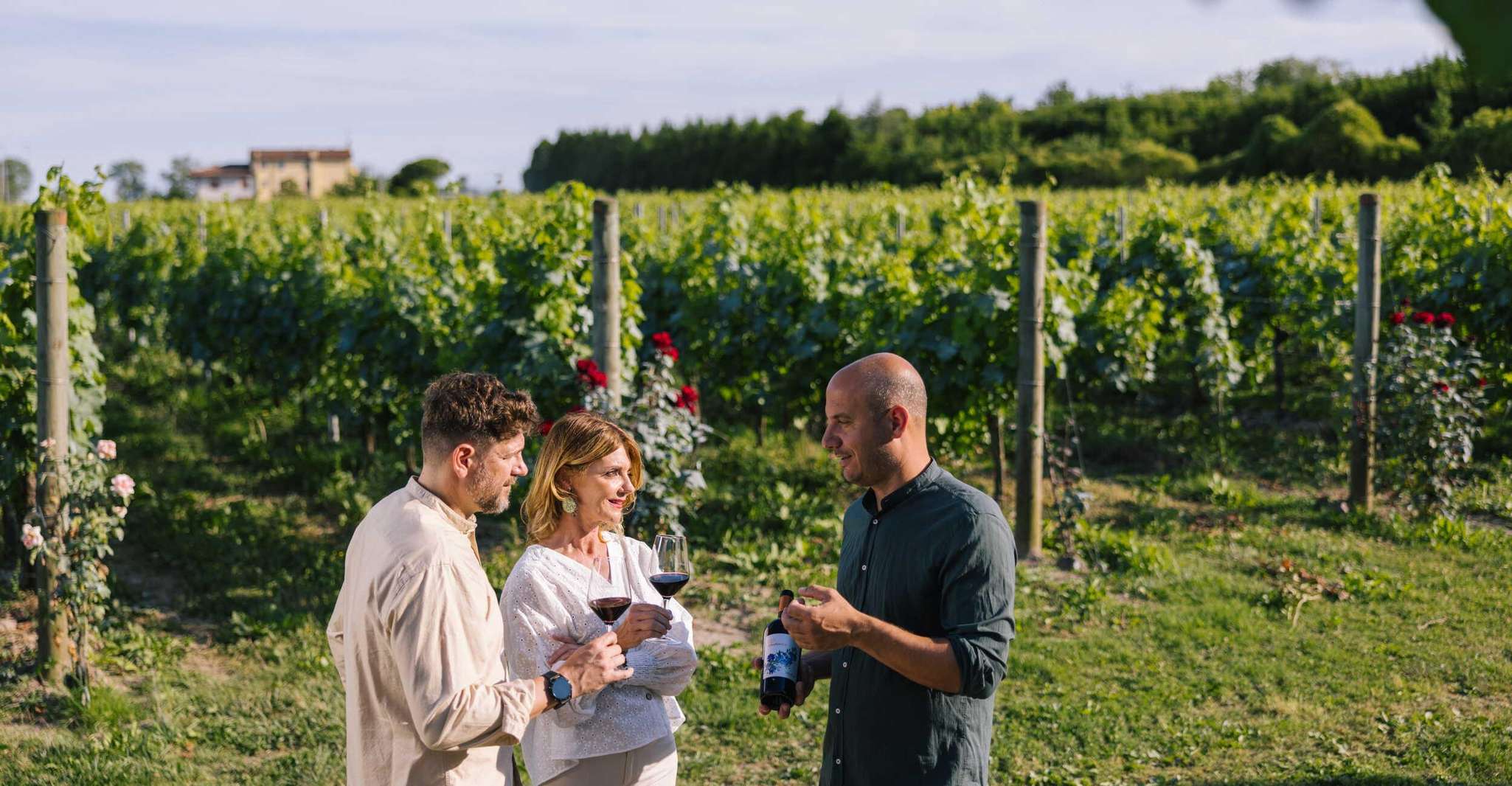 Latisana: Degustazione di vini biologici e passeggiata tra i vigneti