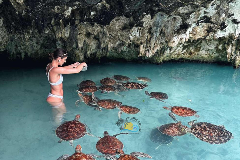 Zanzibar: Swim with Sea Turtles at Salaam Cave with Transfer Hotel Transfer Anywhere in Zanzibar