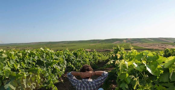 Winery tour in Marsala with wine tasting and local food tasting