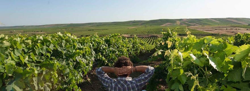 Visite de la cave à Marsala avec dégustation de vins et de produits locaux typiques.