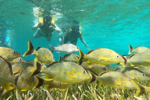 Private Jeep Tour & ATV to Jade Cavern Cenote: All Inclusive