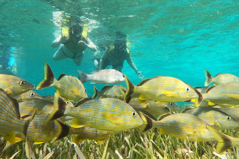 Private Jeep Tour &amp; ATV to Jade Cavern Cenote: All Inclusive