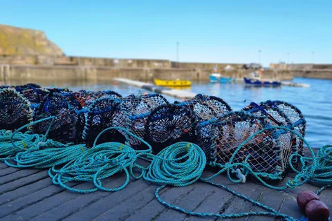 Vanuit Aberdeen: rondleiding langs de kustdorpen van Aberdeenshire