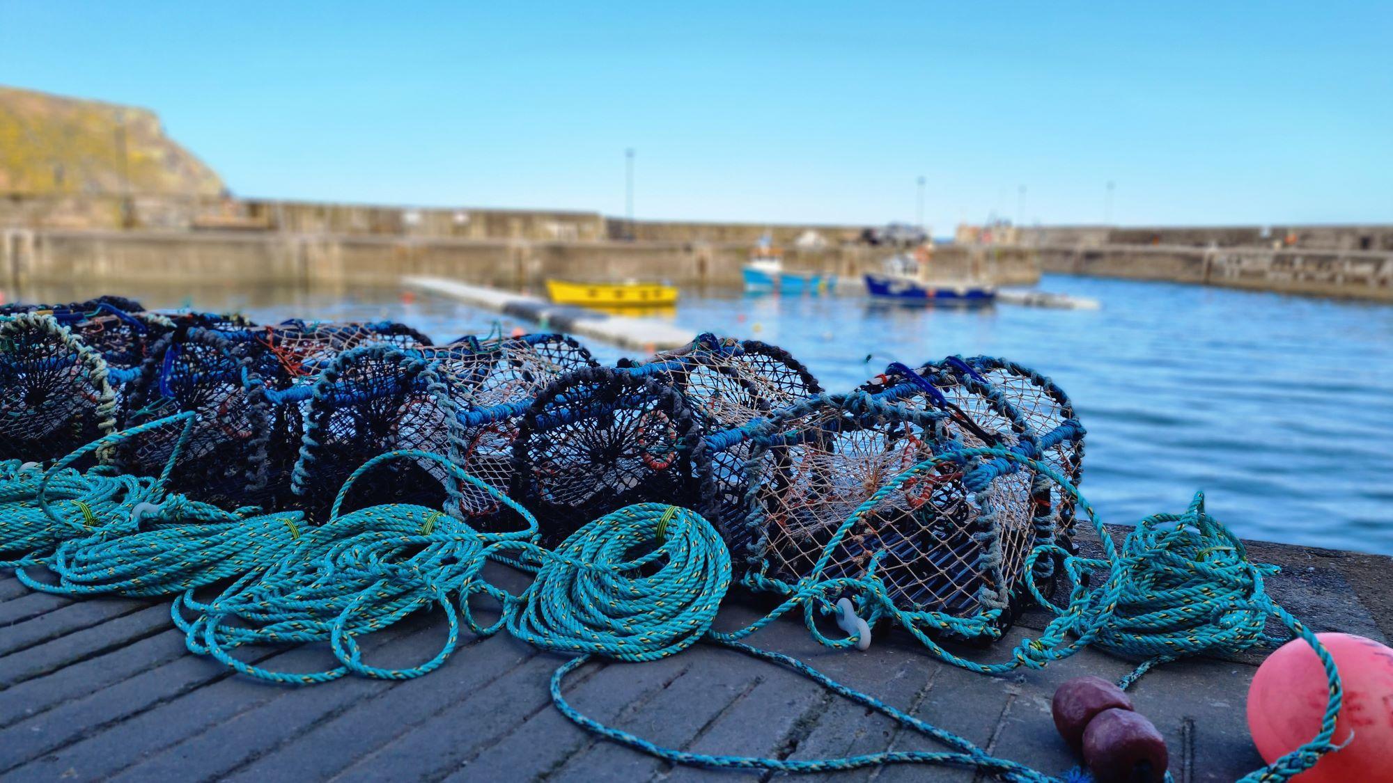 Von Aberdeen aus: Tour durch die Küstendörfer von Aberdeenshire