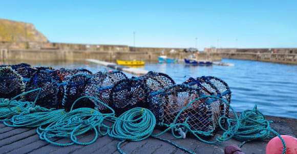 Von Aberdeen aus: Tour durch die Küstendörfer von Aberdeenshire