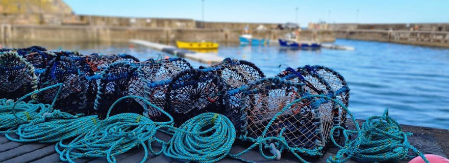 Depuis Aberdeen : Visite des villages côtiers de l'Aberdeenshire