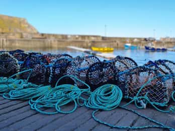 Da Aberdeen: tour dei villaggi costieri dell'Aberdeenshire