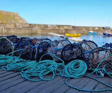 Von Aberdeen aus: Tour durch die Küstendörfer von Aberdeenshire