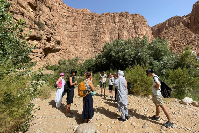 4 days Sahara desert tour from marrakech to merzouga dunes 4 Daus Sahara Tour With Luxury Desert Camp