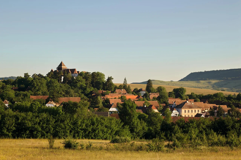 Da Bucarest: fortezze nascoste della Transilvania, tour di 1 giornoDa Bucarest: fortezze nascoste della Transilvania, gita di un giorno