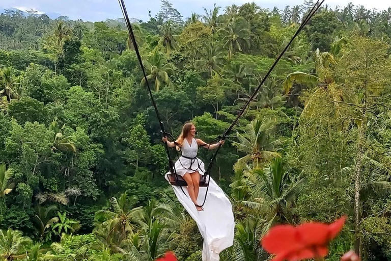 Floresta de macacos de Ubud, templo, terraço de arroz e balanço na selvaPasseio em Ubud - Tudo incluído