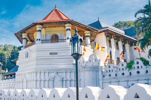 Sri Lanka: 10-Day Wildlife, Culture & Scenic Adventure