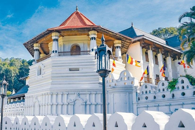 Sri Lanka: 10-Day Wildlife, Culture & Scenic Adventure