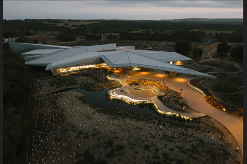 Penguin Parade: General Viewing Ticket Penguin Parade: General Viewing Entry Ticket