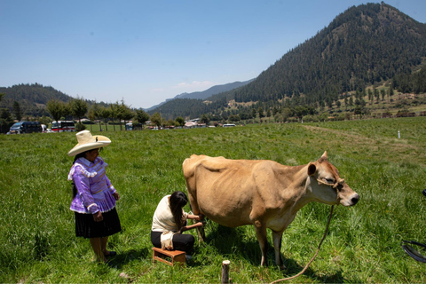 From Cajamarca: Porcón Farm, Vicuñas, and Local Crafts