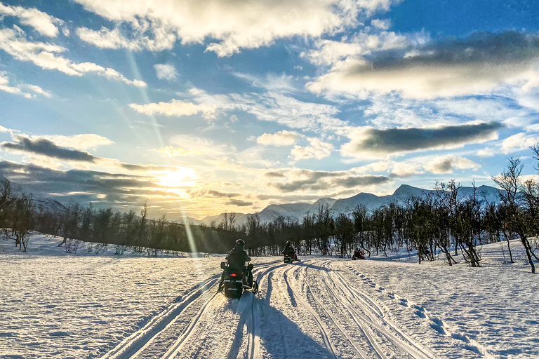 From Tromsø: Snowmobile Safari in the Lyngen Alps