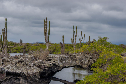 Explore the Cabo Rosa Tunnels on Isabela: snorkeling, wildlife and scenery