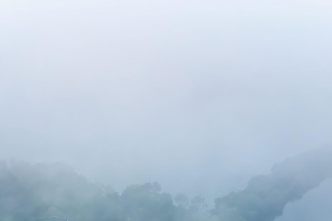 Da Shanghai:Templi di Hangzhou, vista sul lago e divertimento al mercato notturno