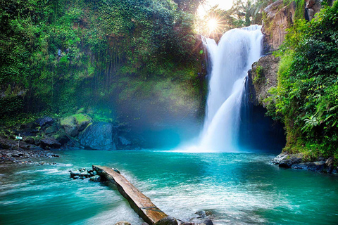 Ubud: Barong and Keris Dance, Batuan Temple, and Waterfall …