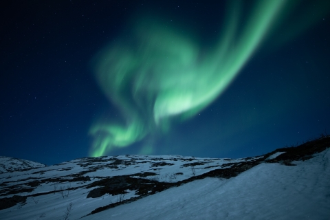 Tromso : Chasse aux aurores boréales en bus en ENG, FR ou ESVisite des aurores boréales avec un guide parlant espagnol