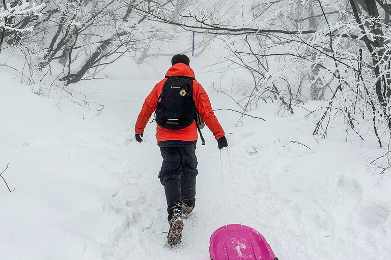 Depuis Séoul : Randonnée au lever du soleil de Taebaeksan sur les fleurs de neige et K-food