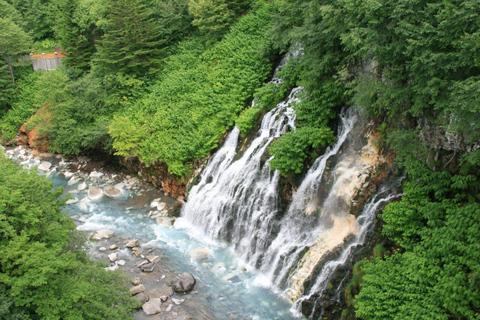 Hokkaido Asahiyama Zoo Tour met Meloen Buffet OptieSapporo Tokyu REI Hotel Vertrek No Melon Inclusief