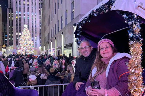 NYC: Passeio particular de carruagem a cavalo pelo Central Park com guiaPasseio particular de carruagem a cavalo pelas luzes de NYC ou pelas luzes de Natal