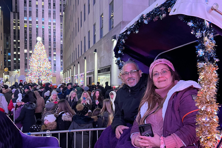 NYC: Passeio particular de carruagem a cavalo pelo Central Park com guiaPasseio particular de carruagem a cavalo pelas luzes de NYC ou pelas luzes de Natal