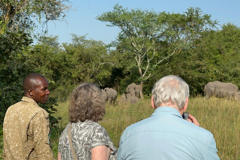 Viagem de 11 dias para fazeres uma caminhada com chimpanzés, seguires os gorilas e veres a vida selvagem