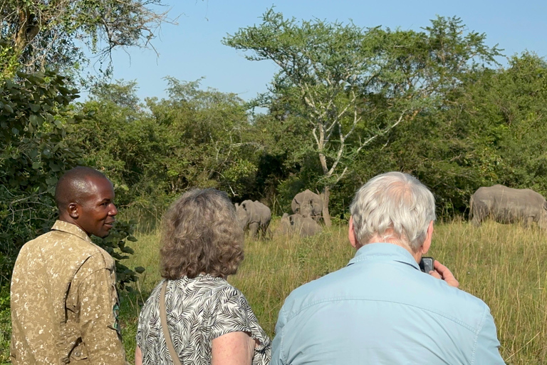 Viagem de 11 dias para fazeres uma caminhada com chimpanzés, seguires os gorilas e veres a vida selvagem