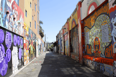 San Francisco: Mission District & Castro Walking Tour San Francisco:Mission District&Castro Walking Tour in French