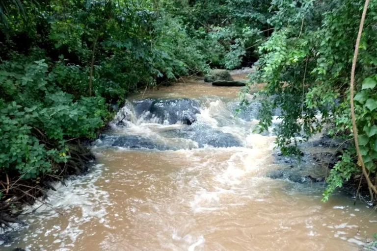 Kiambu: Half day of fun at Paradise Lost