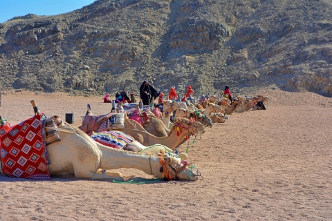 Hurghada: Safari Jeep, przejażdżka na wielbłądzie i kolacja BBQ